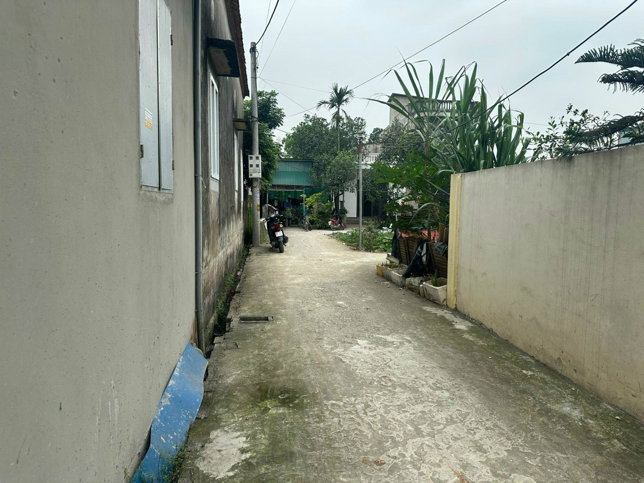 164535b1-34ac-4ca7-bb15-b4a0e7e705f4