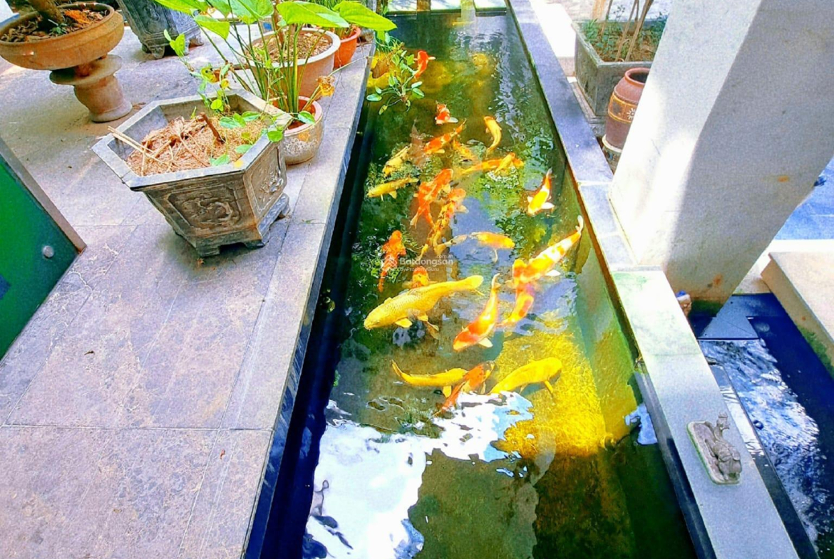 20230909071941-dfbd_wm