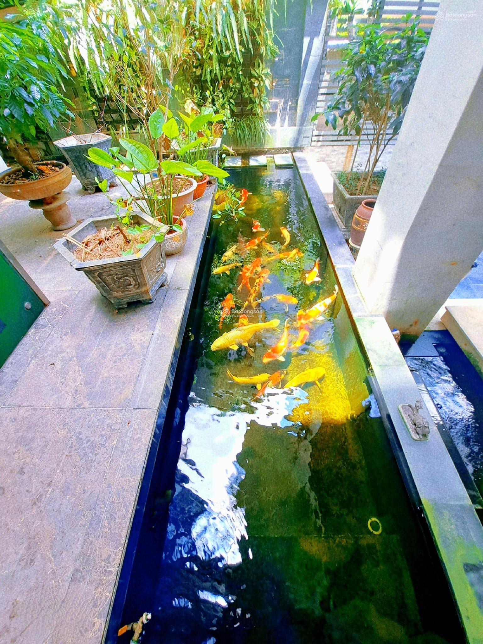 20230909071941-dfbd_wm