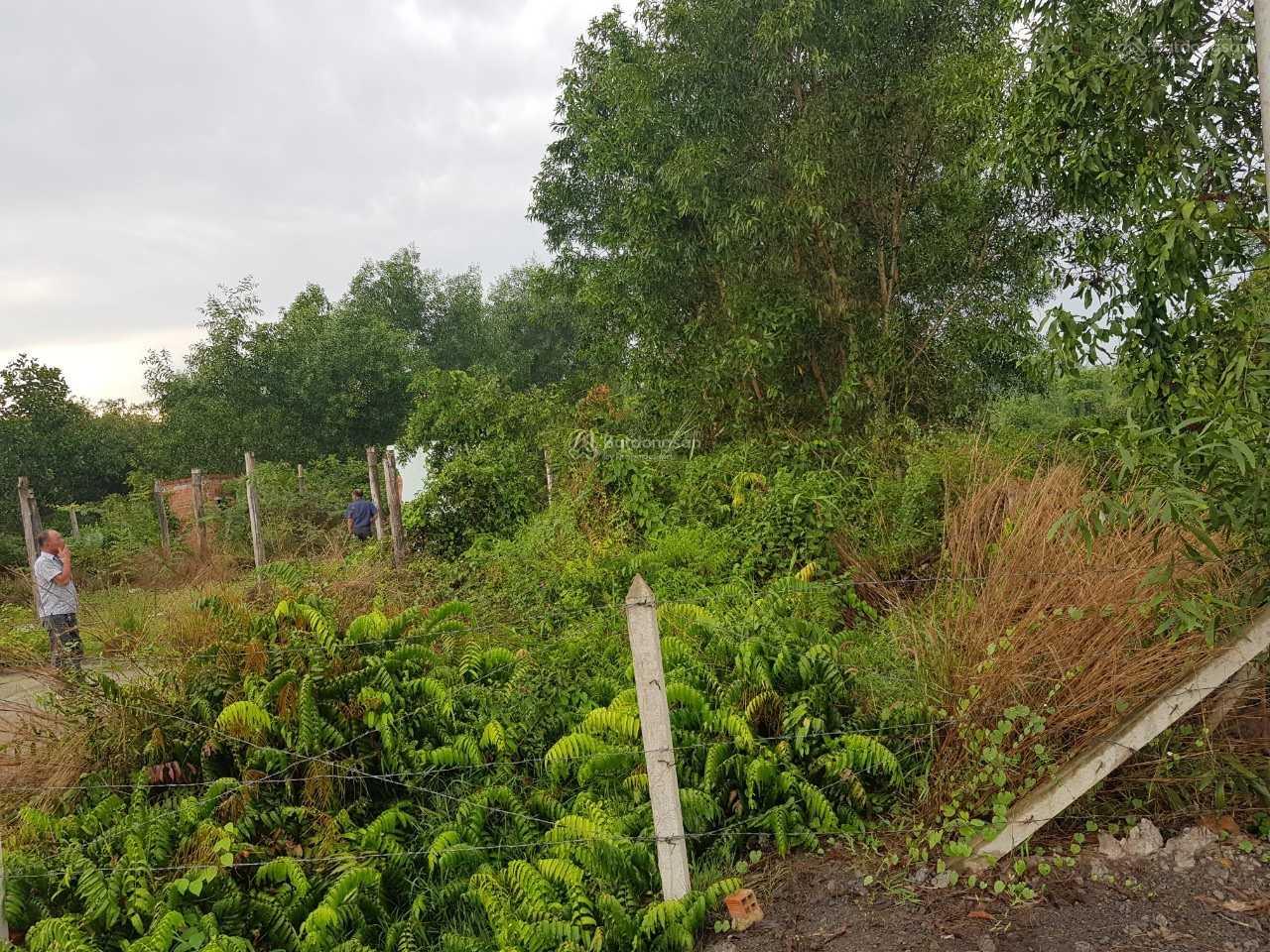 20240504140742-15dc_wm