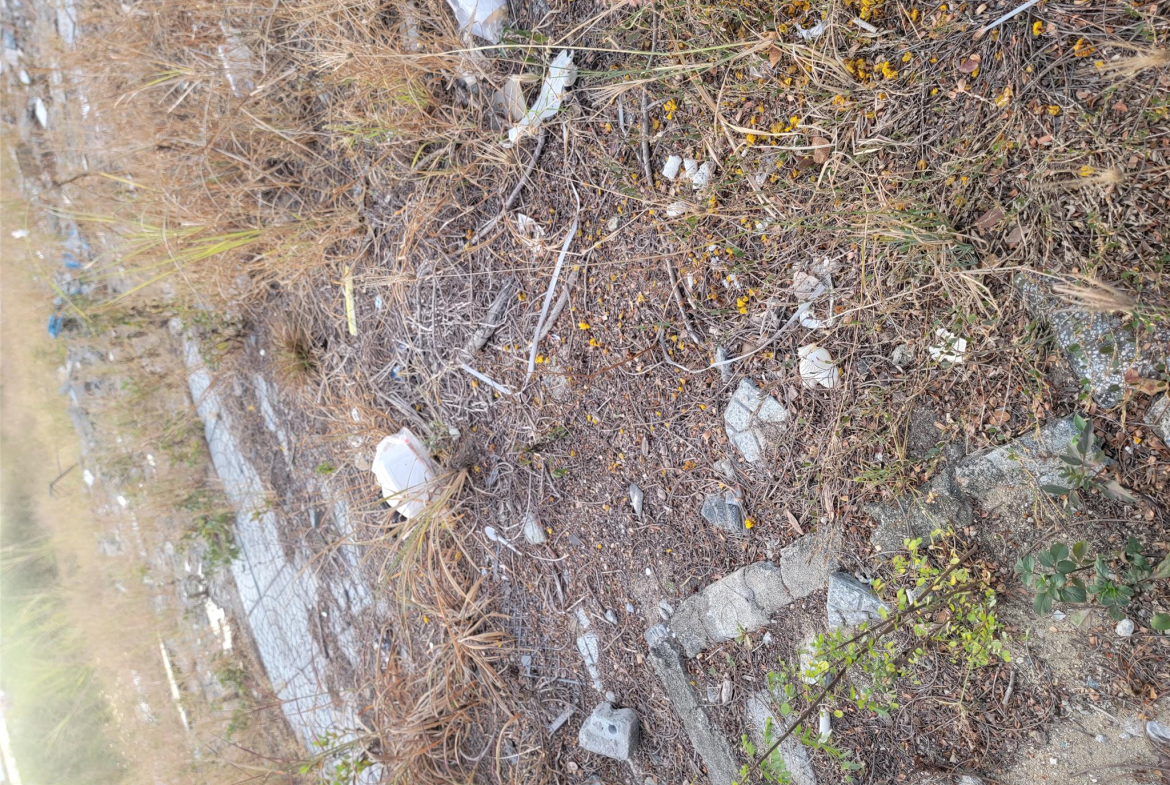 20240509_173412.jpg_bak_638509221739547112