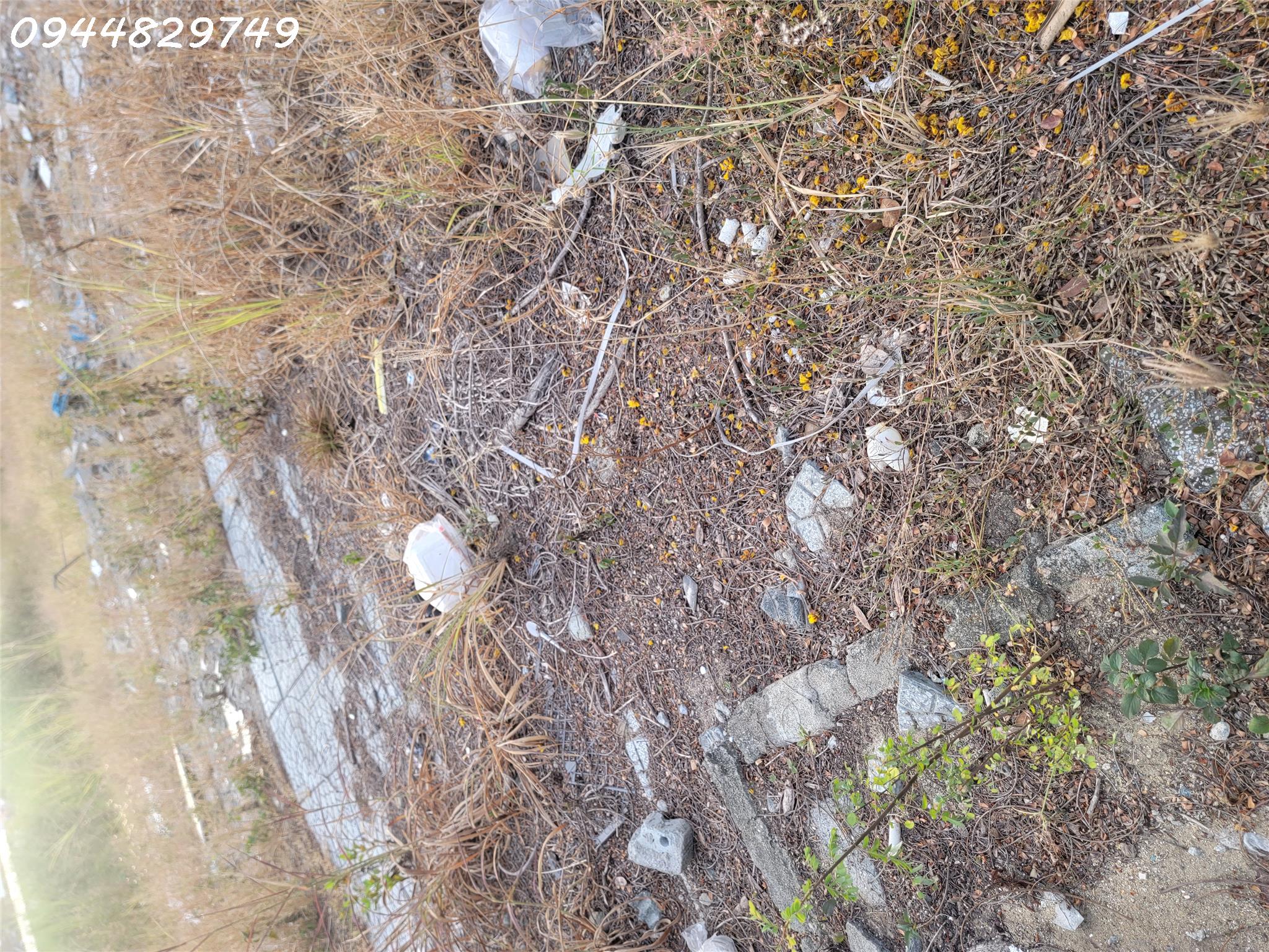 20240509_173412.jpg_bak_638509221739547112