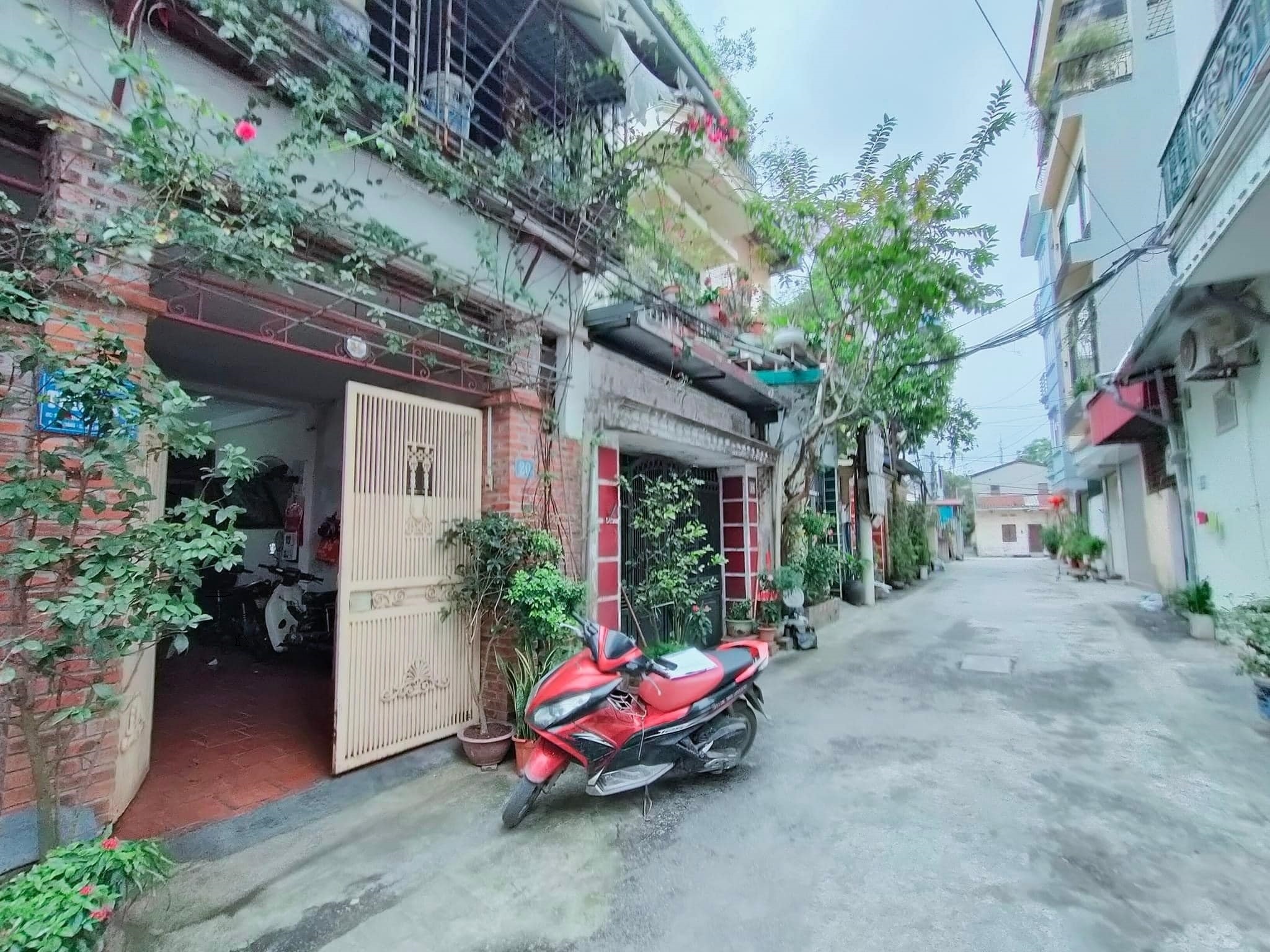 286816674_1064118681191186_4532070555425662702_n