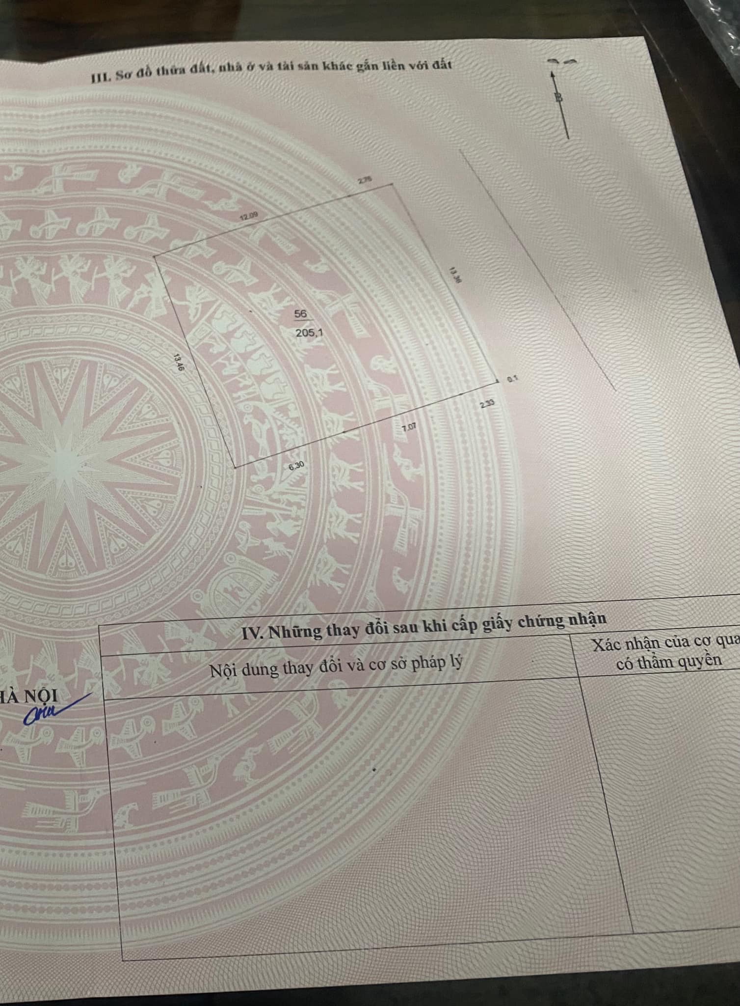 337018117_938343727359691_4423146471729189553_n