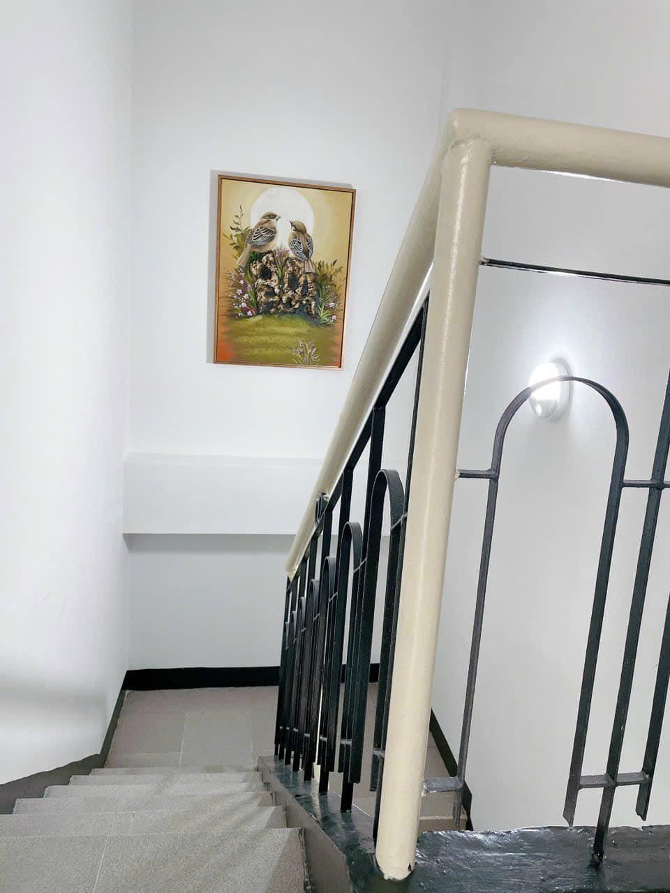 350537072_216427934534295_8199736573694063097_n