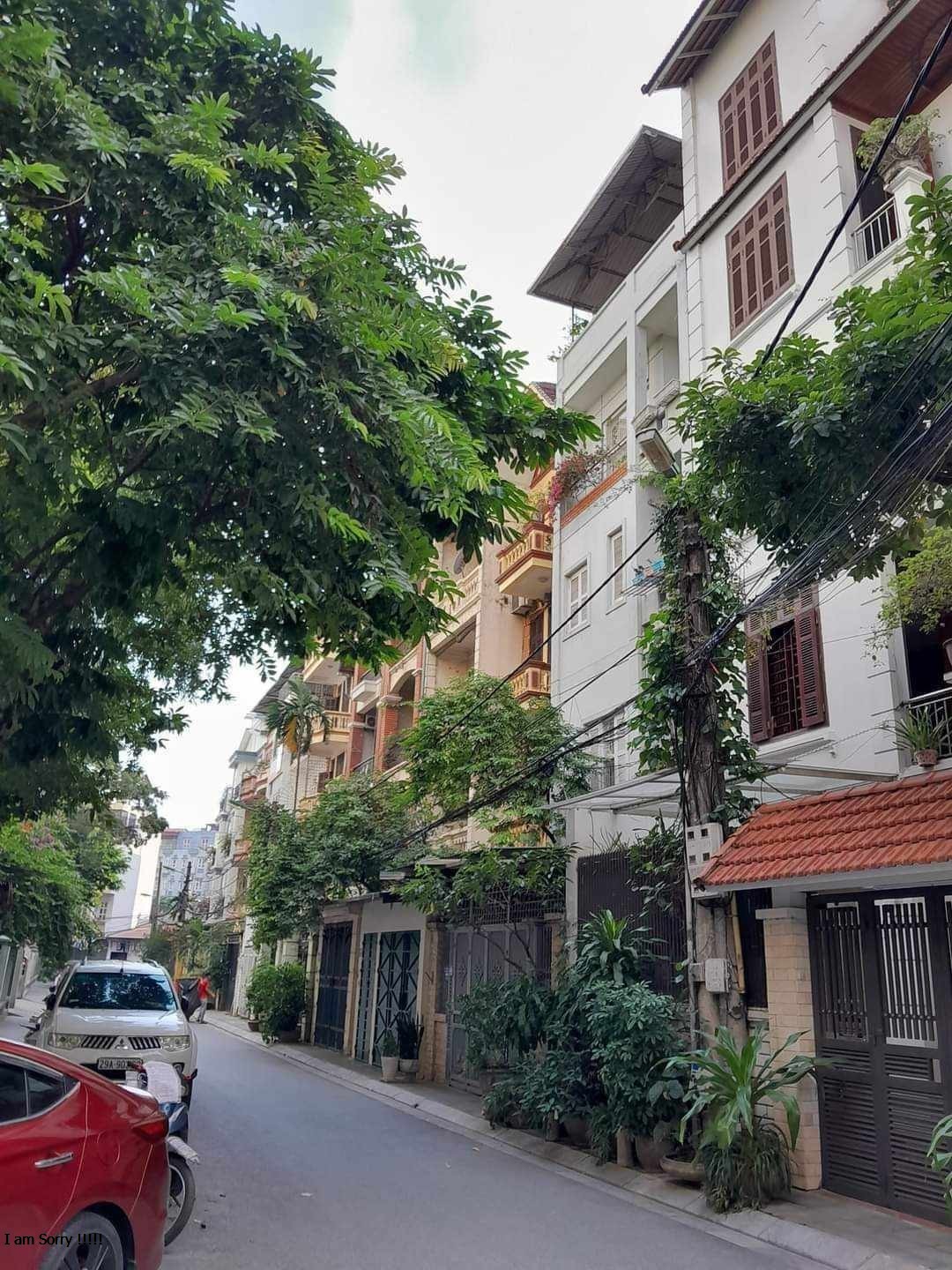 385541678_2427703770751227_5586382051213879913_n (1)