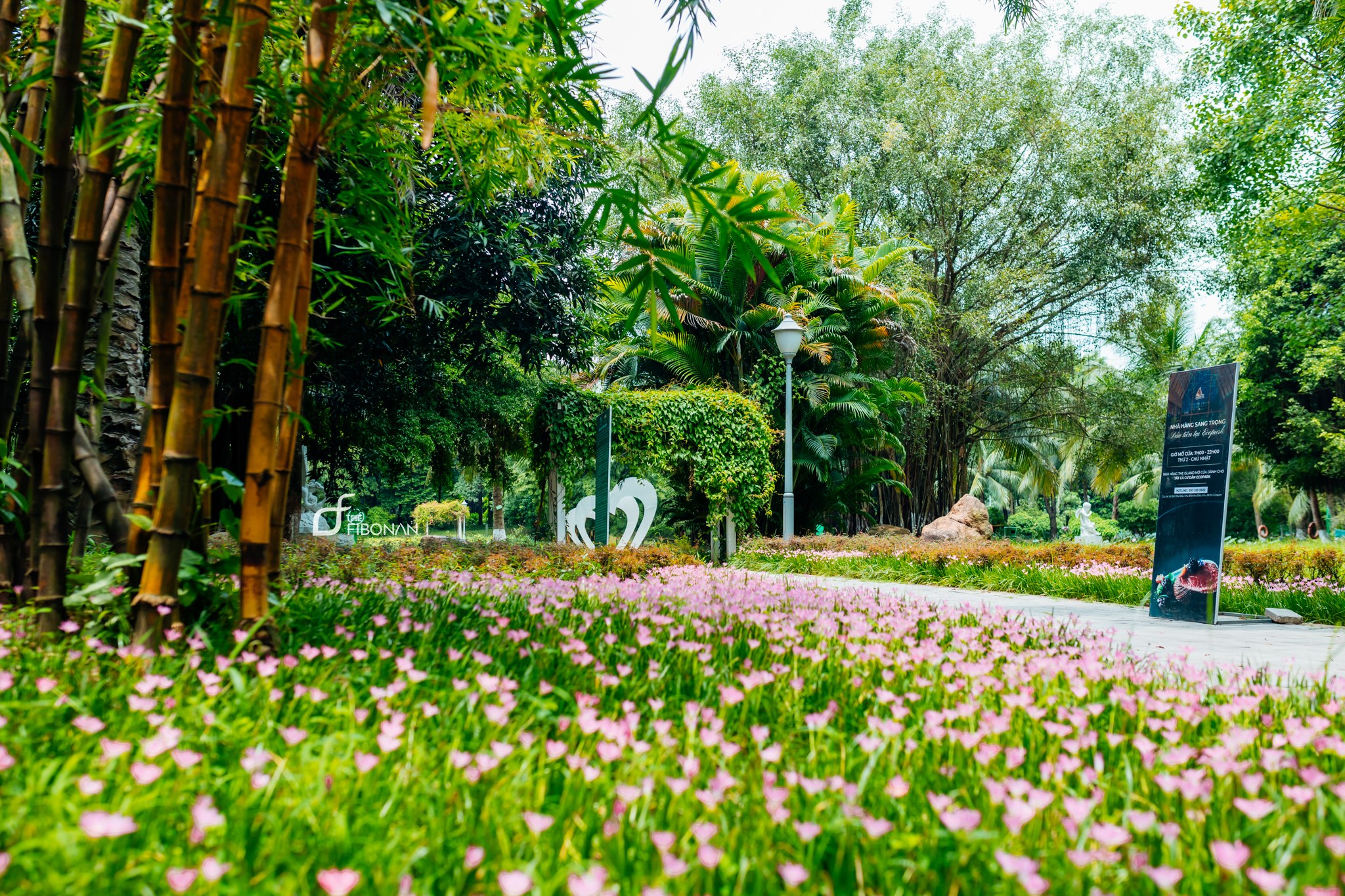 395288560_290873417131243_7398139360632907179_n