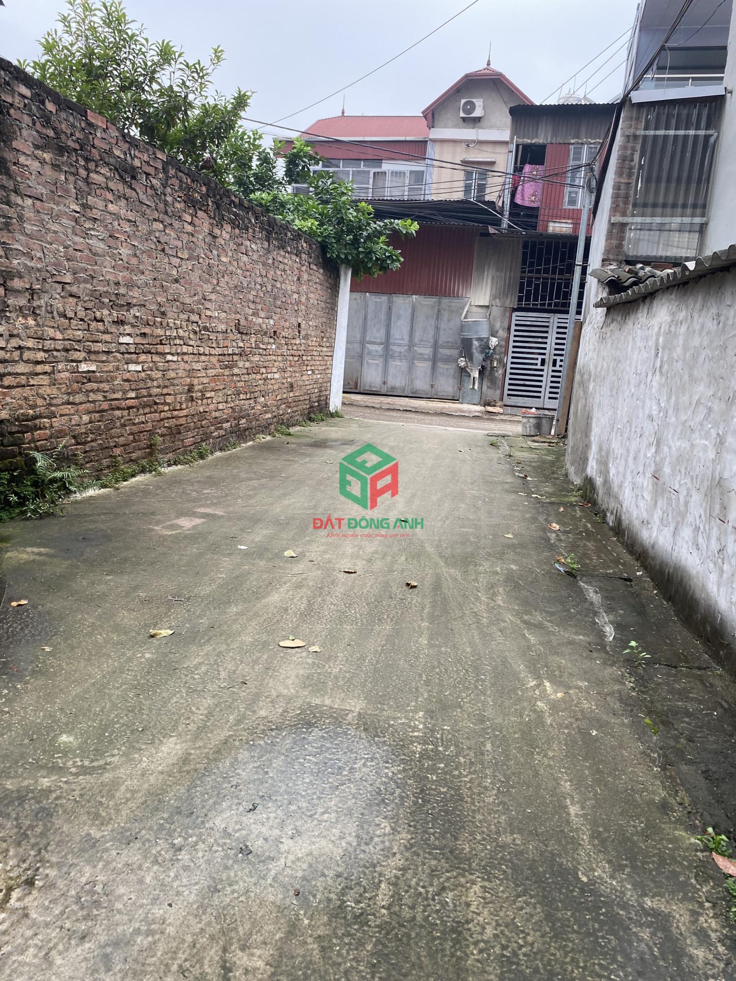 3ueTOJHbAS-z5370679083350_4418e7c26e9b63a20010aea597825d9d