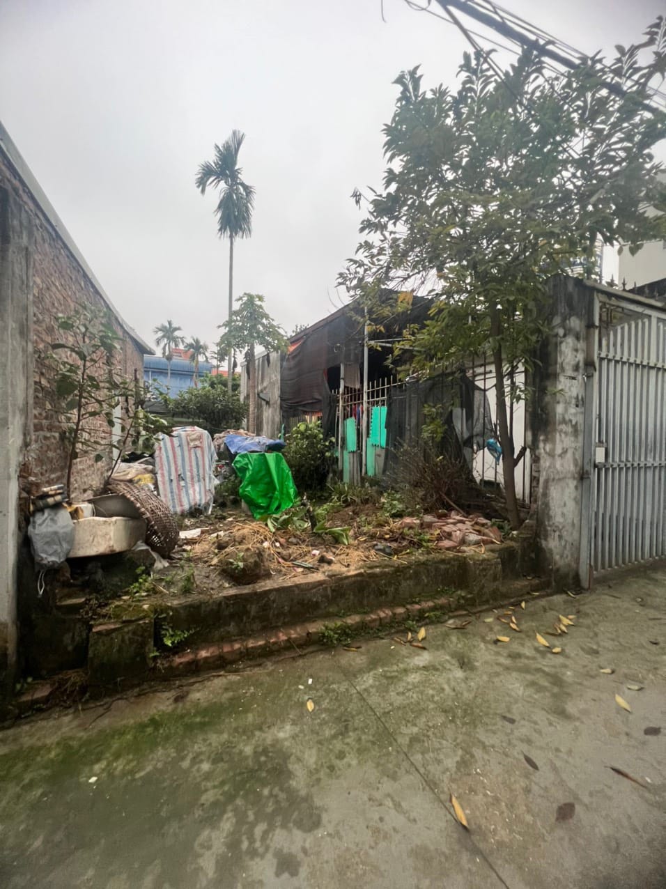 421984646_850901507055525_2808051566954276538_n