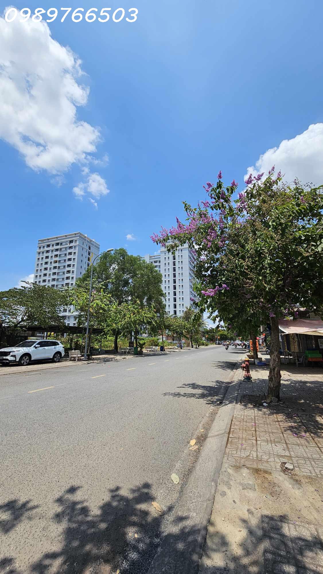 437038955_955075266263517_2824457096988279000_n