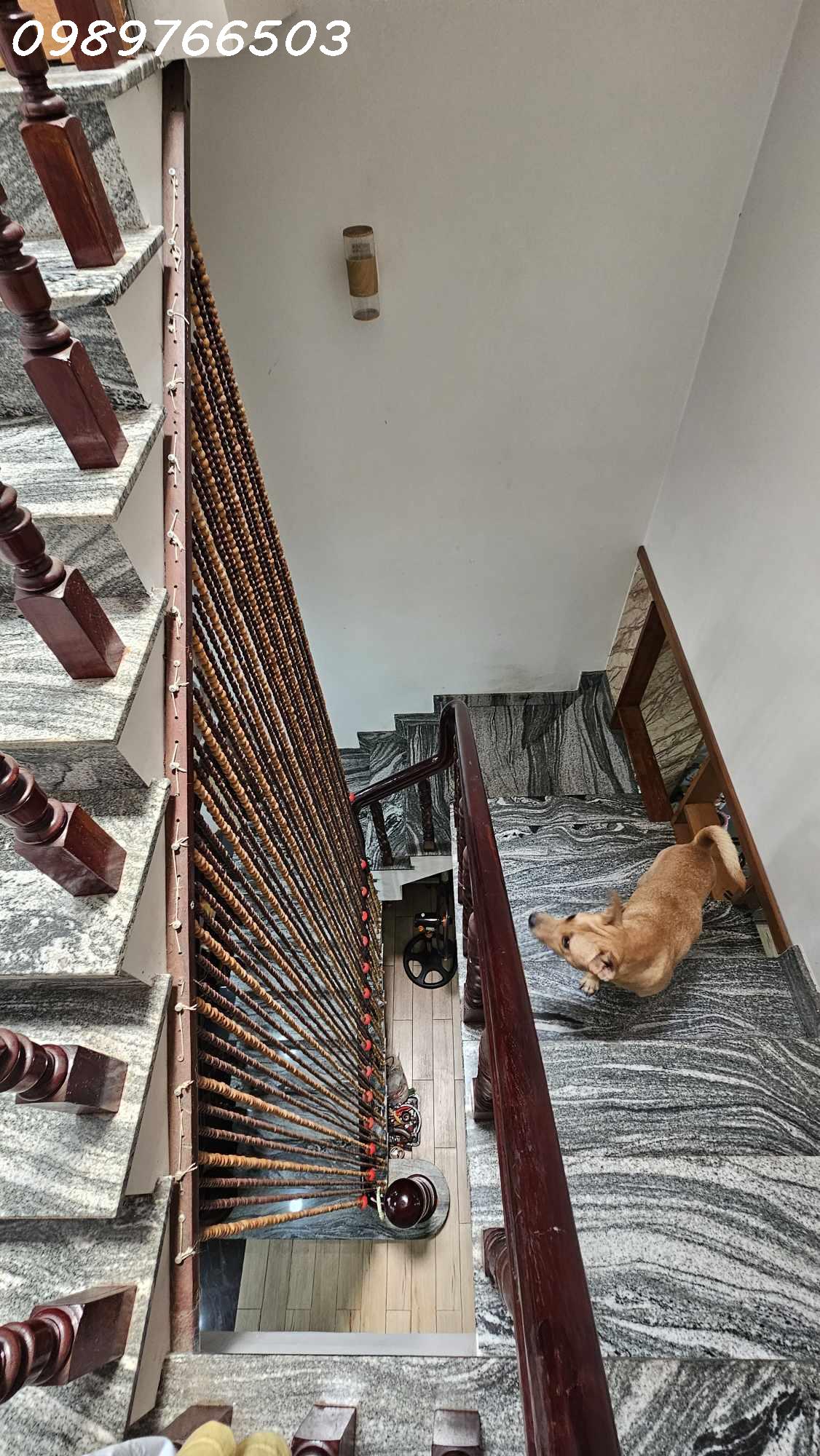 438196121_797972372256597_9117583355357730235_n