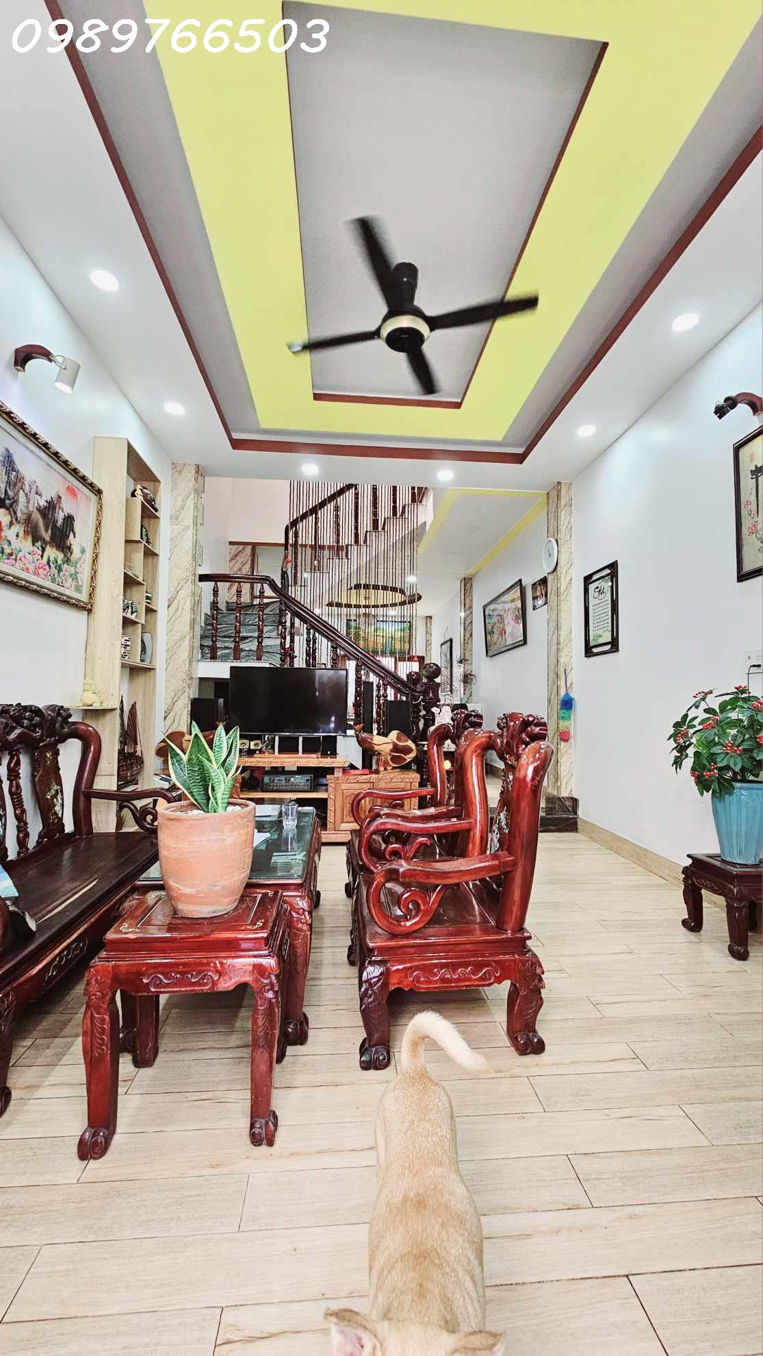 438237635_286567724503531_1488041264102907786_n