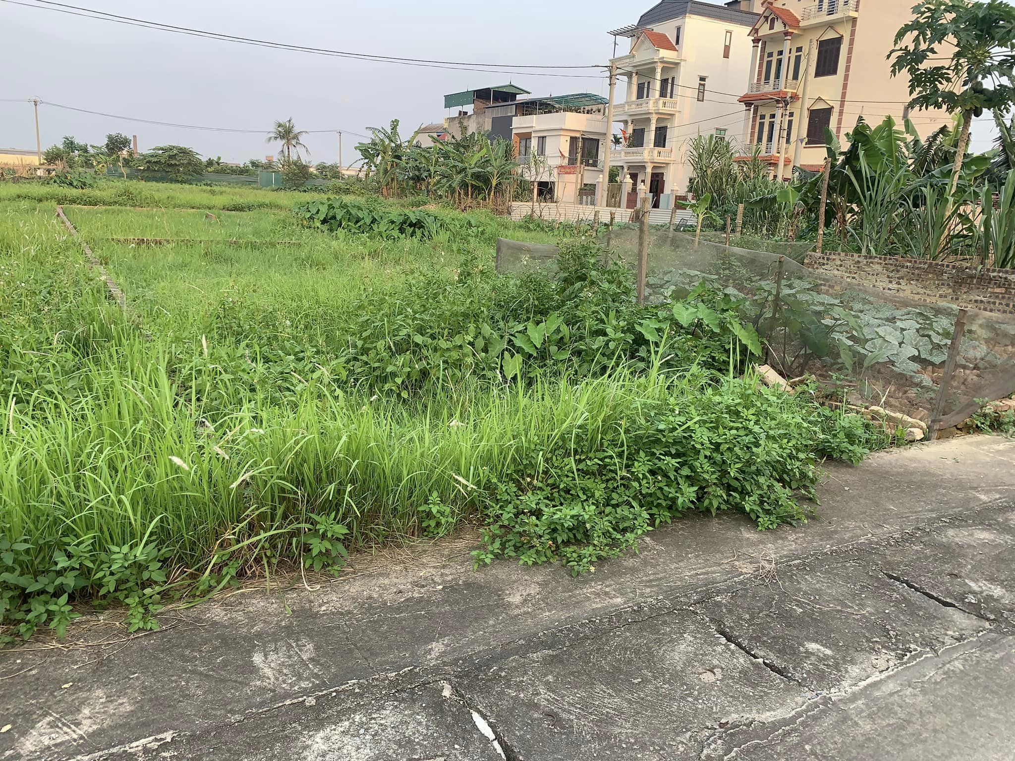 438255132_2741385502676790_7864349351613581820_n