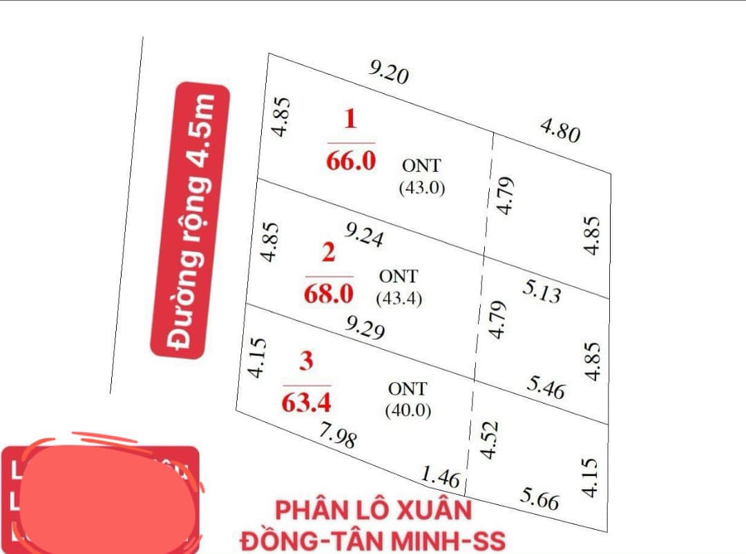 438260814_2748279238654083_4983771823766785487_n