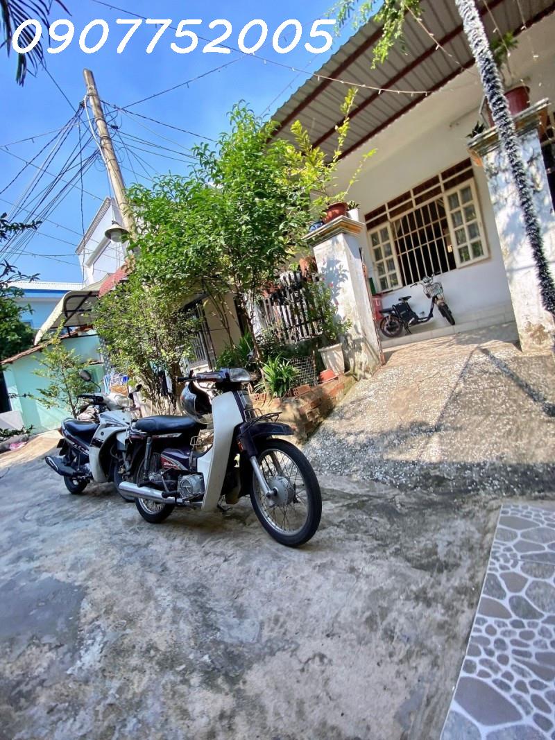 438275687_10160773795729440_658541527375947687_n