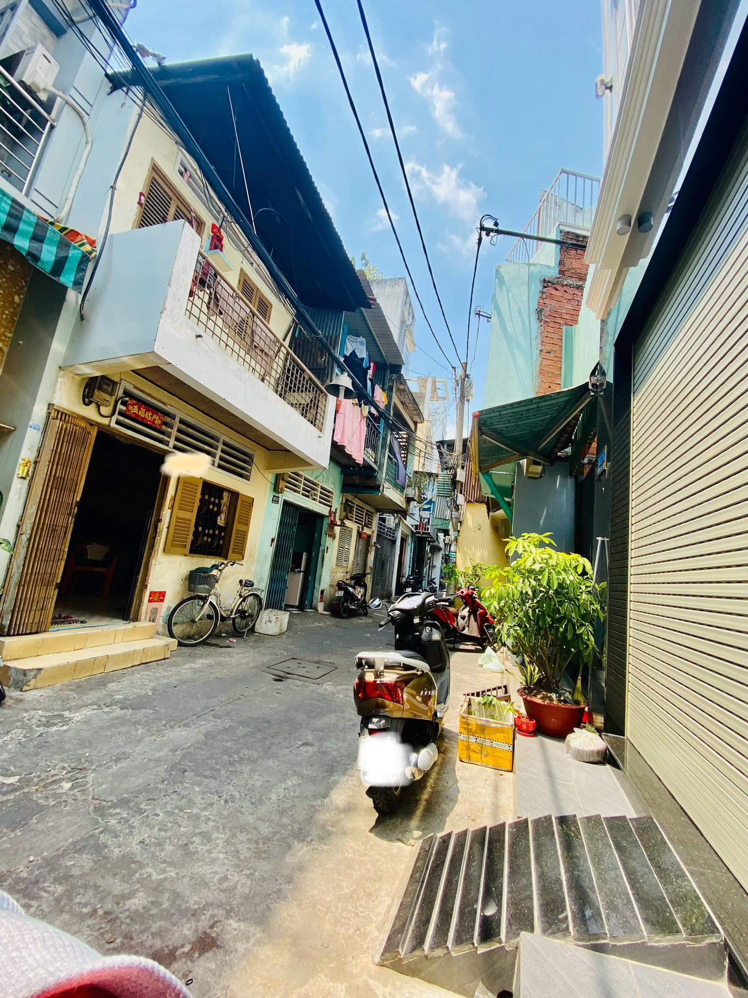 439388537_964155092045347_3138783762756347707_n