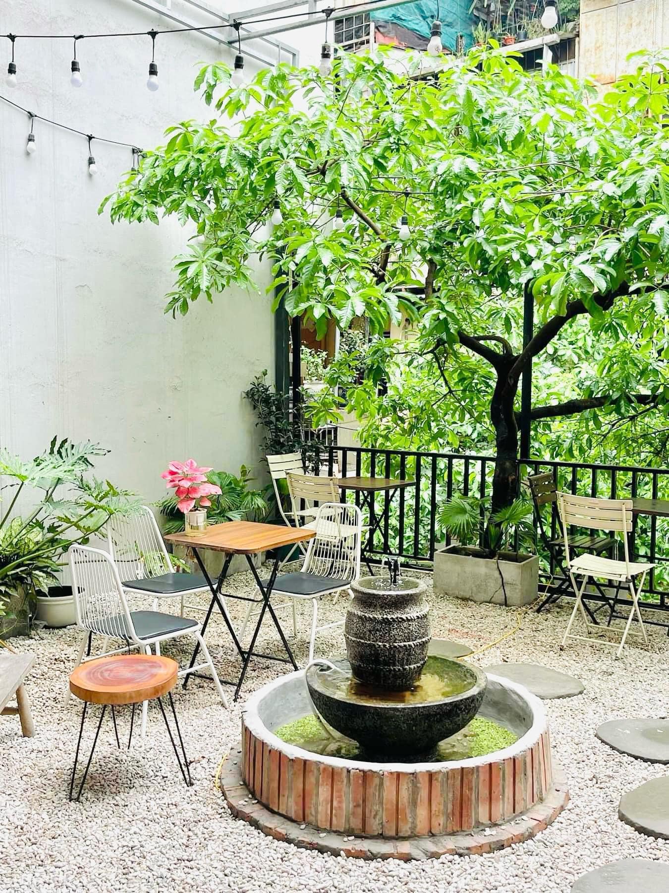 439908412_2743300399167649_2375601166966563326_n