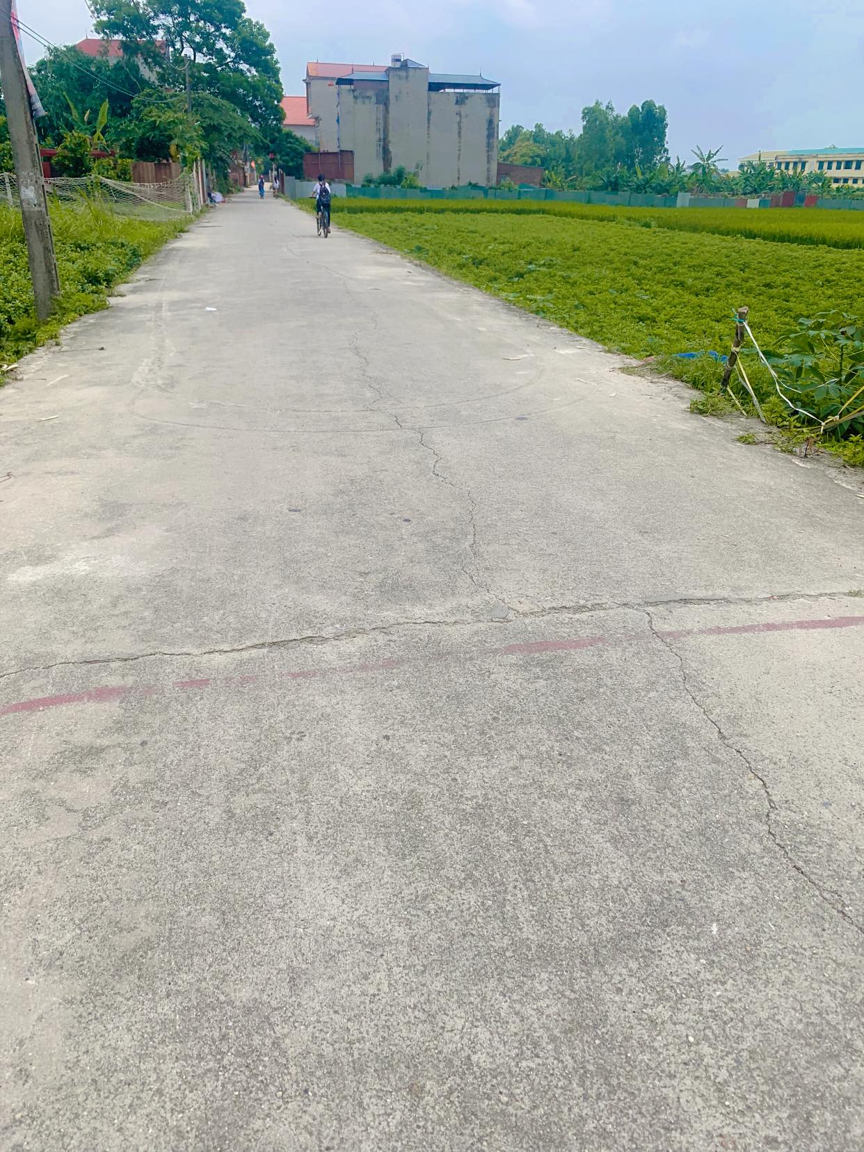 440326601_2743688082446532_8800019141905636857_n