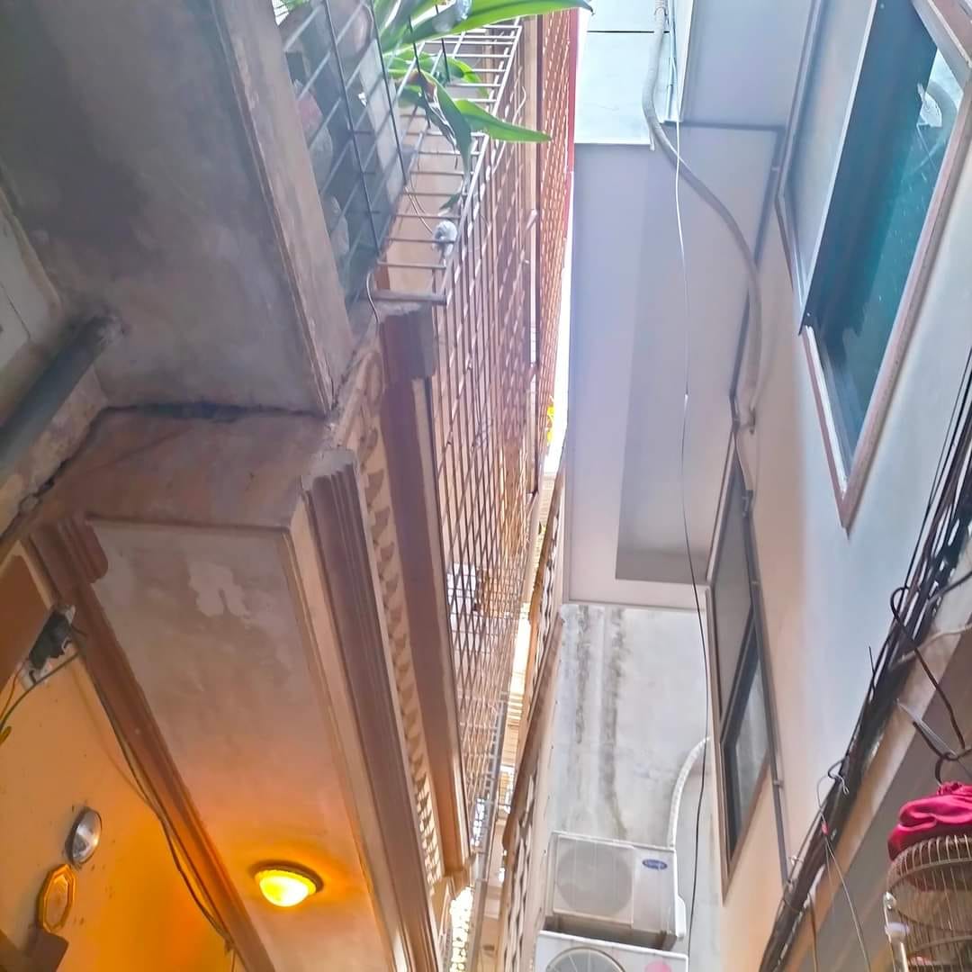 440750550_1586282538880877_3139801801264952631_n