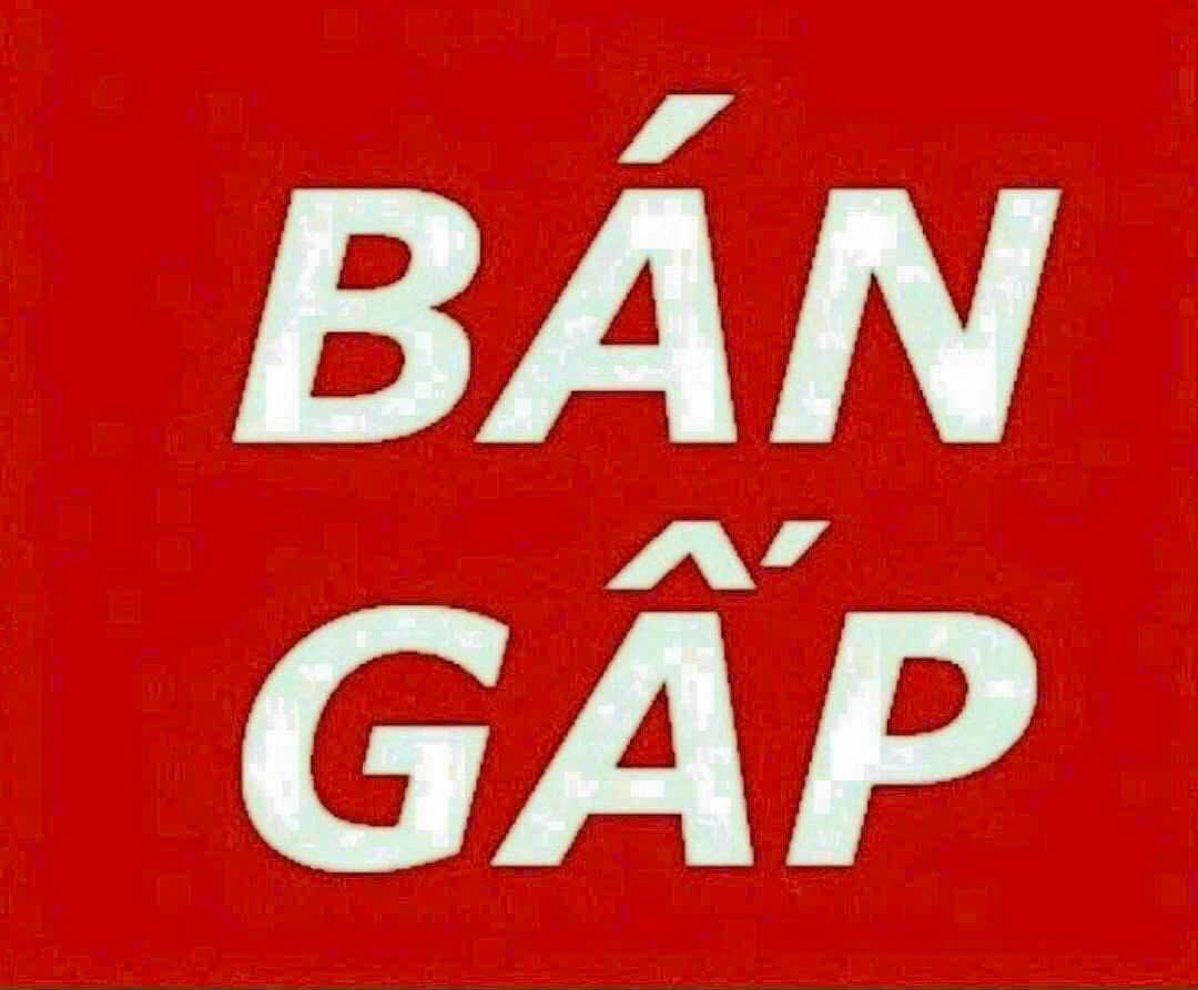 440768740_256133250926287_5775203823989161819_n