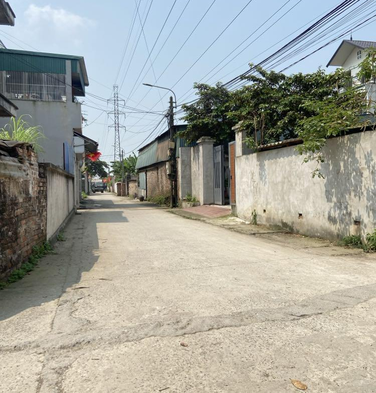 440921056_441288361823531_5660504534939936669_n