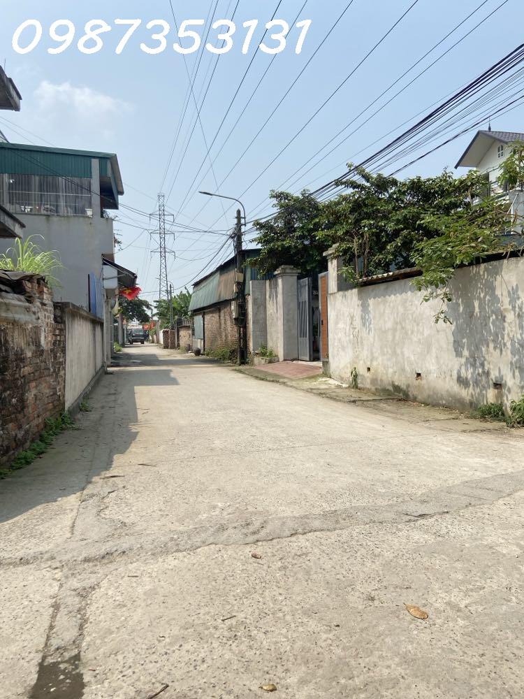 440921056_441288361823531_5660504534939936669_n