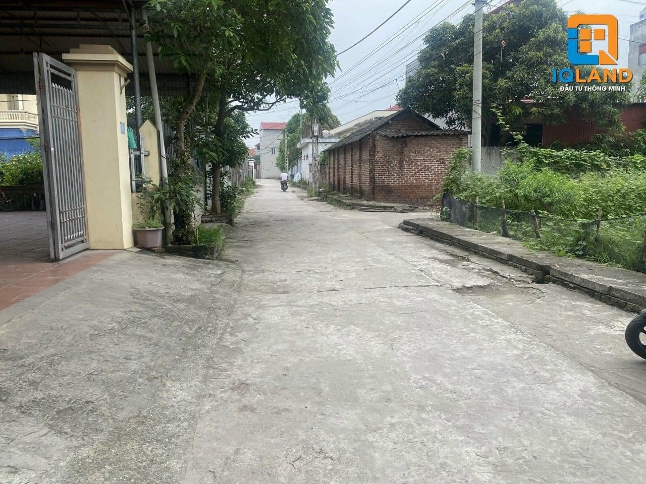 440930897_2743188429163164_7288296889012347547_n