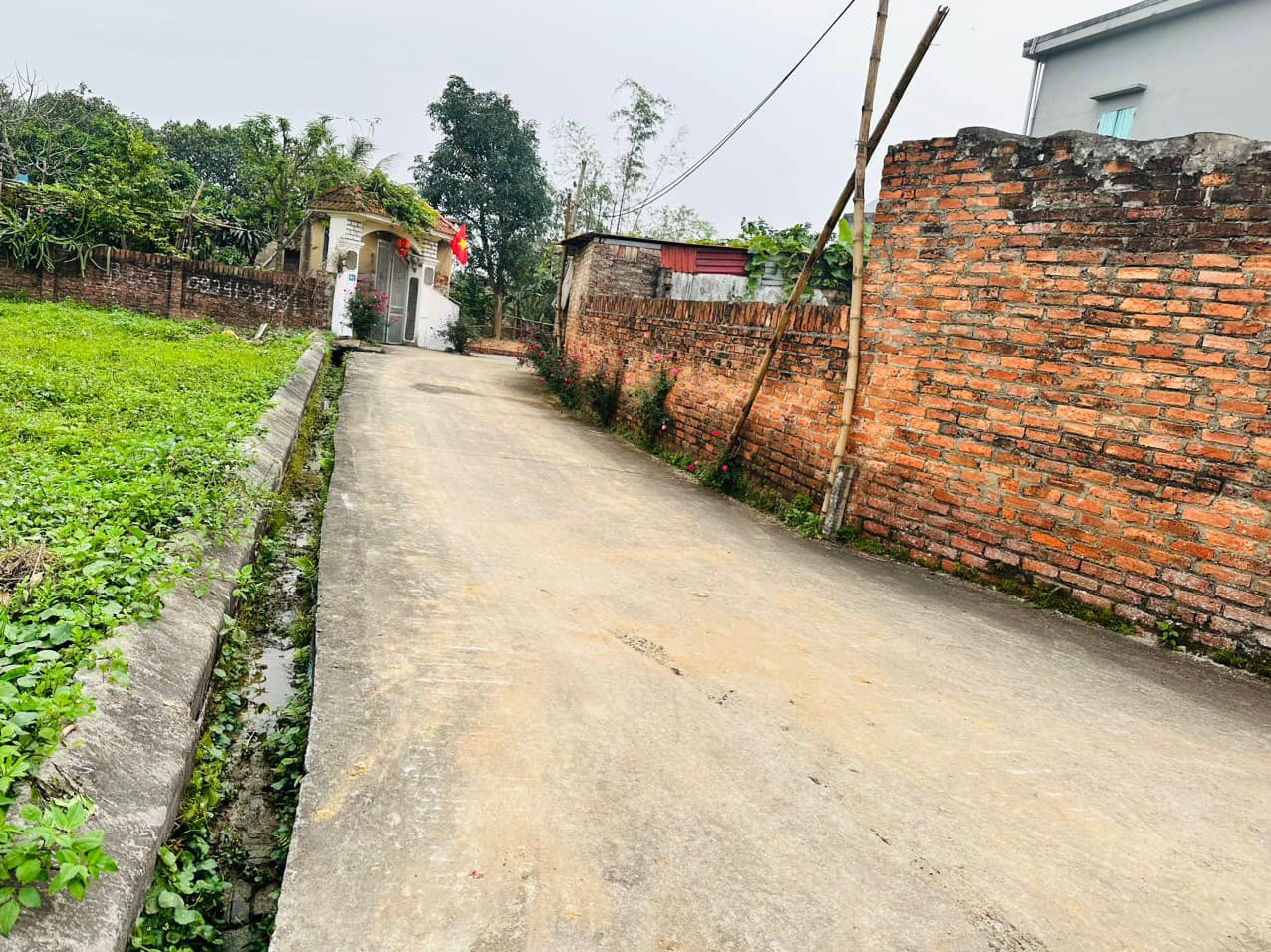 440952957_2748279241987416_4827443205204740448_n