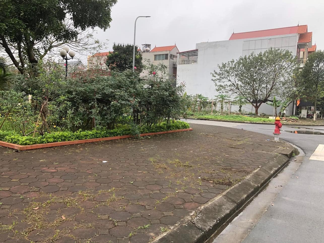 440968244_2683369818494985_7789164435117501366_n