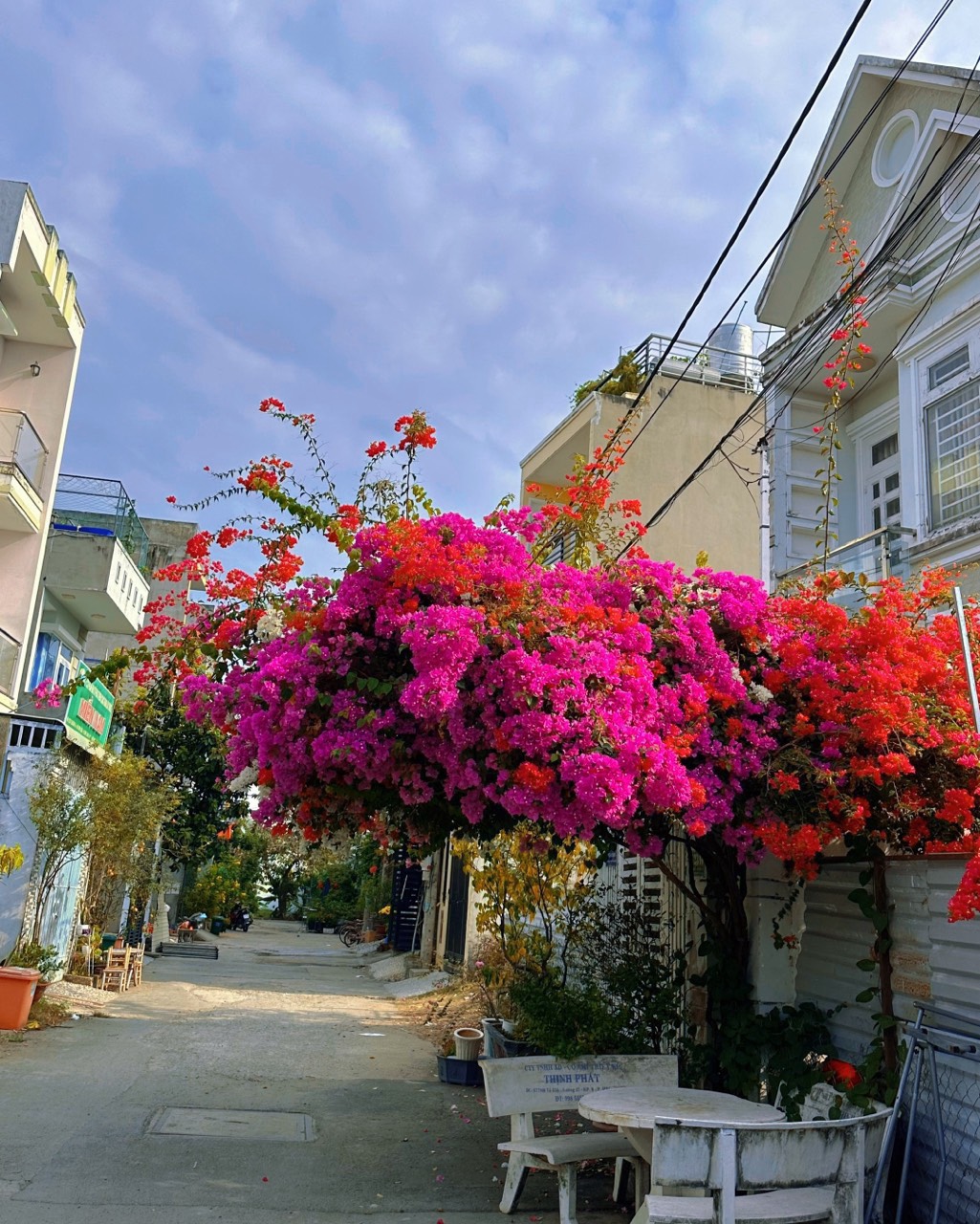 441363399_122144721194119748_4870995940878940148_n