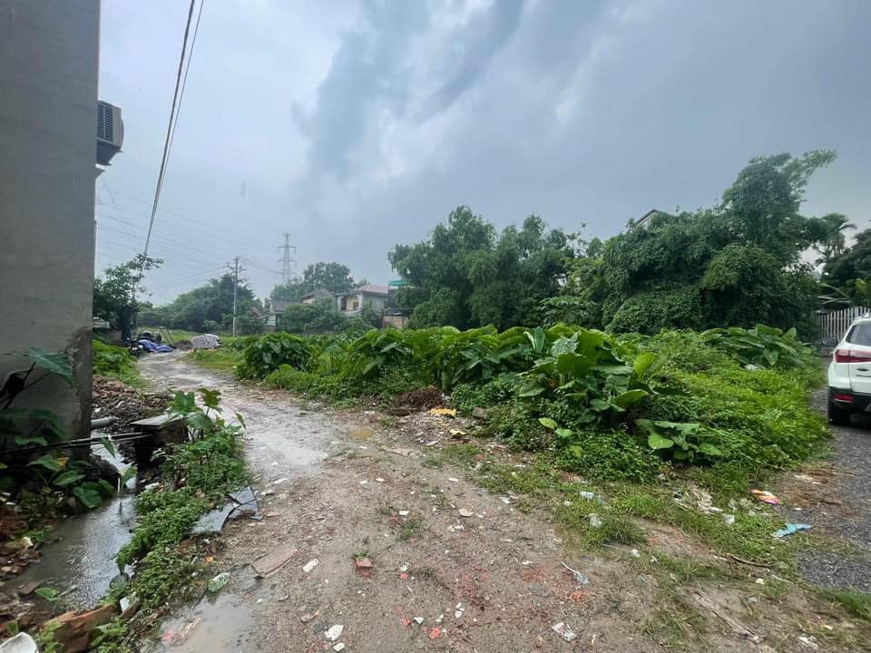 441494239_859556129523396_6824473158631017849_n