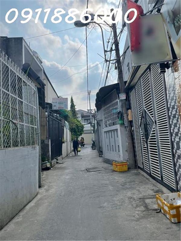 441497868_3683205485231266_8901928329642004458_n.jpg_bak_638512176098032990