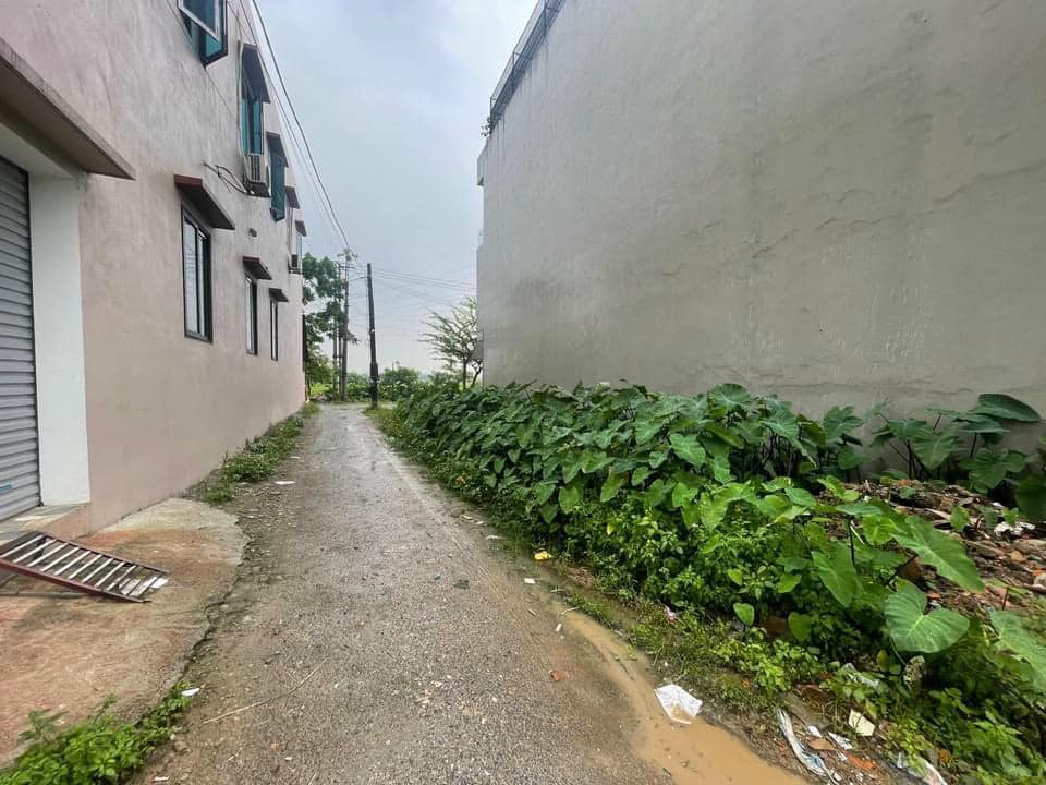 441520989_859556169523392_8739557478618516369_n