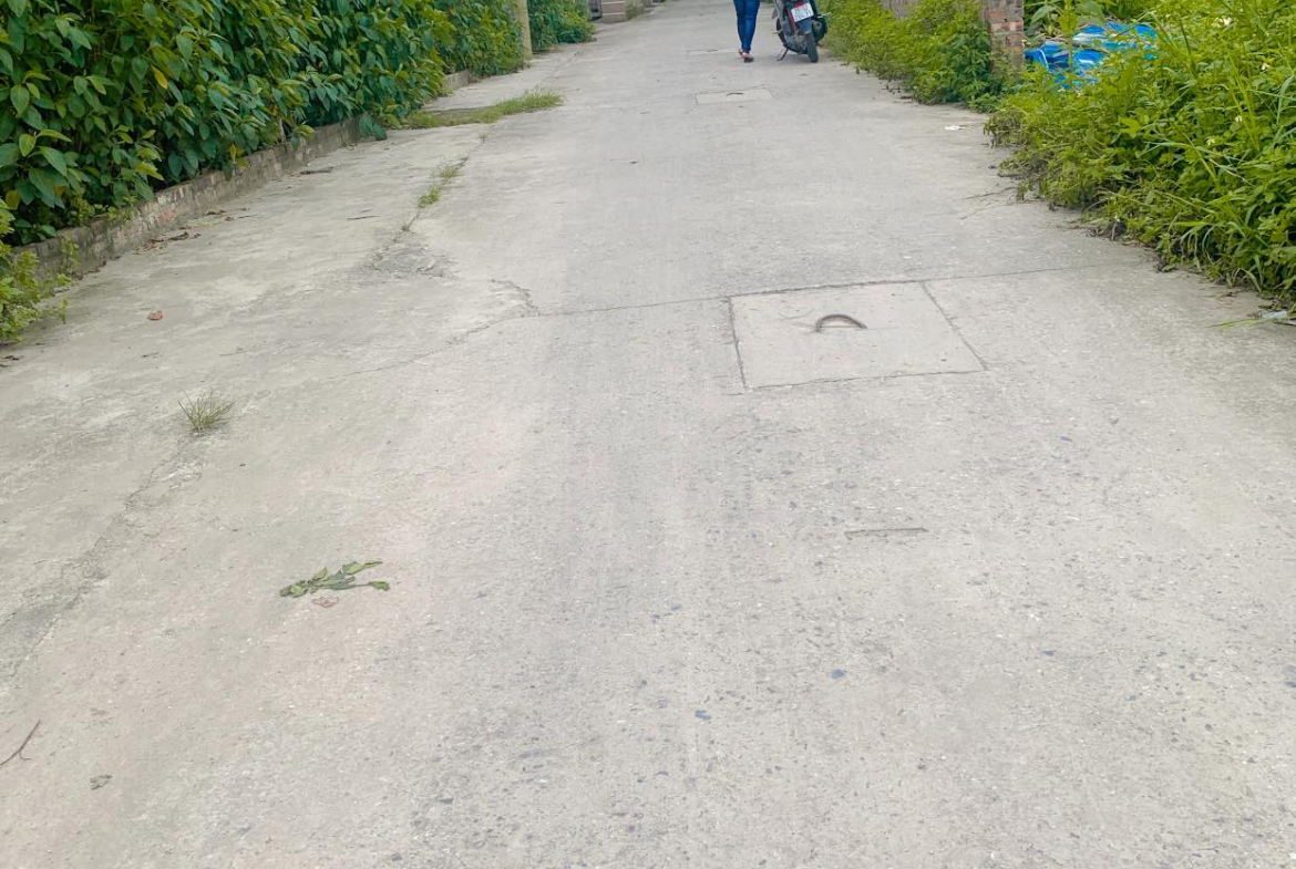 441936187_2743688019113205_5918753437517033022_n