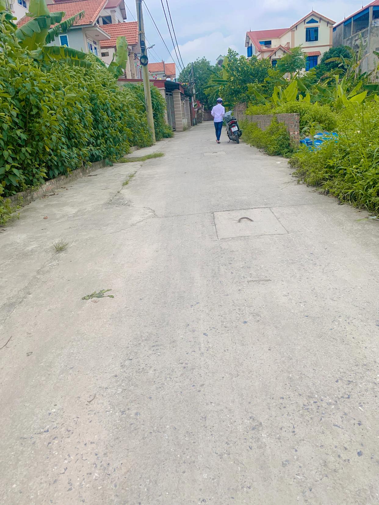 441936187_2743688019113205_5918753437517033022_n