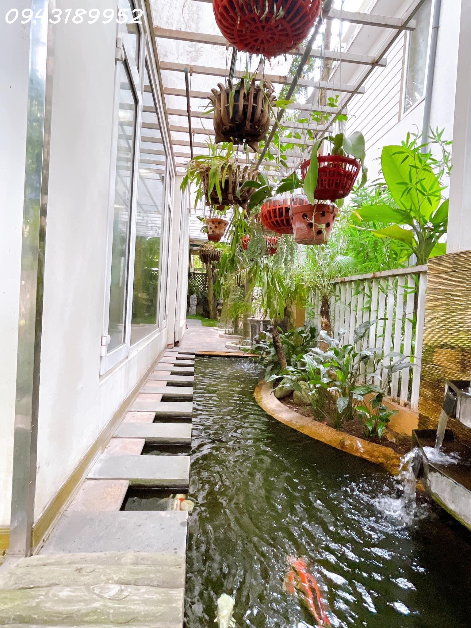 444988609_2920162021468677_1325612071522791246_n