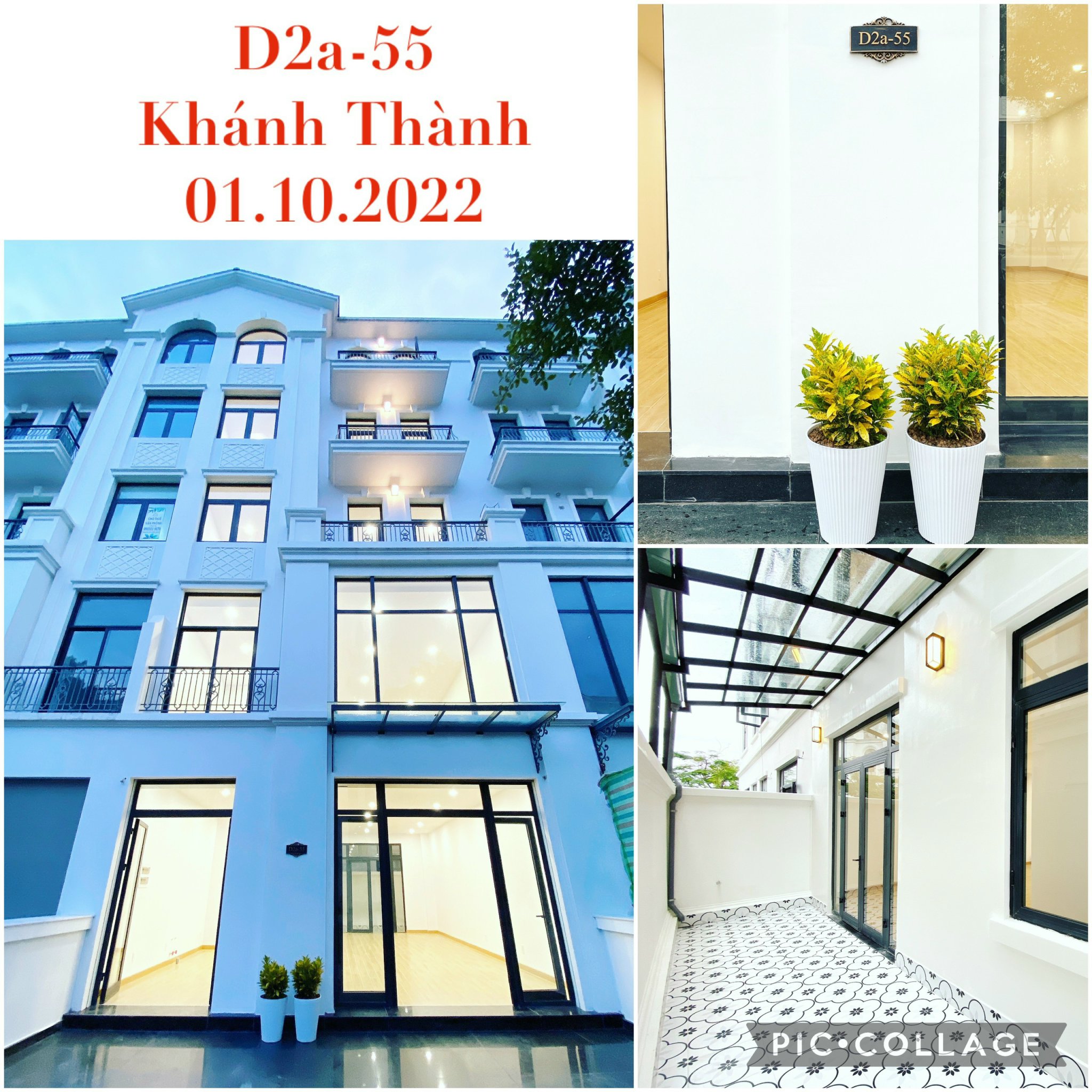 48508d60d2f27cac25e365