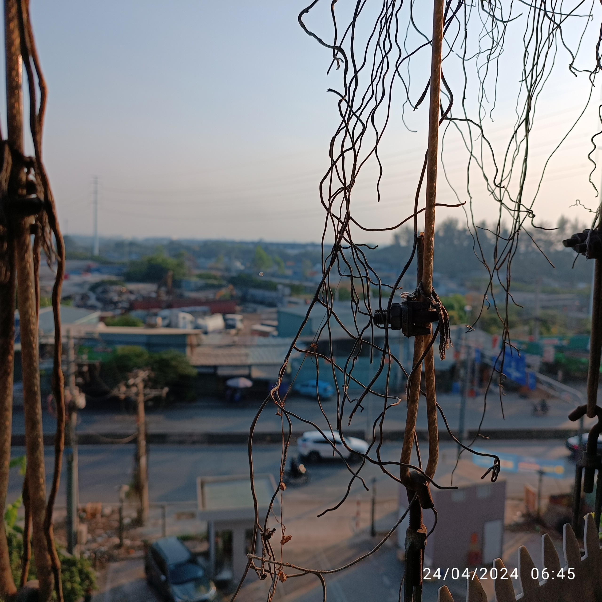 782e7d44b434156a4c25