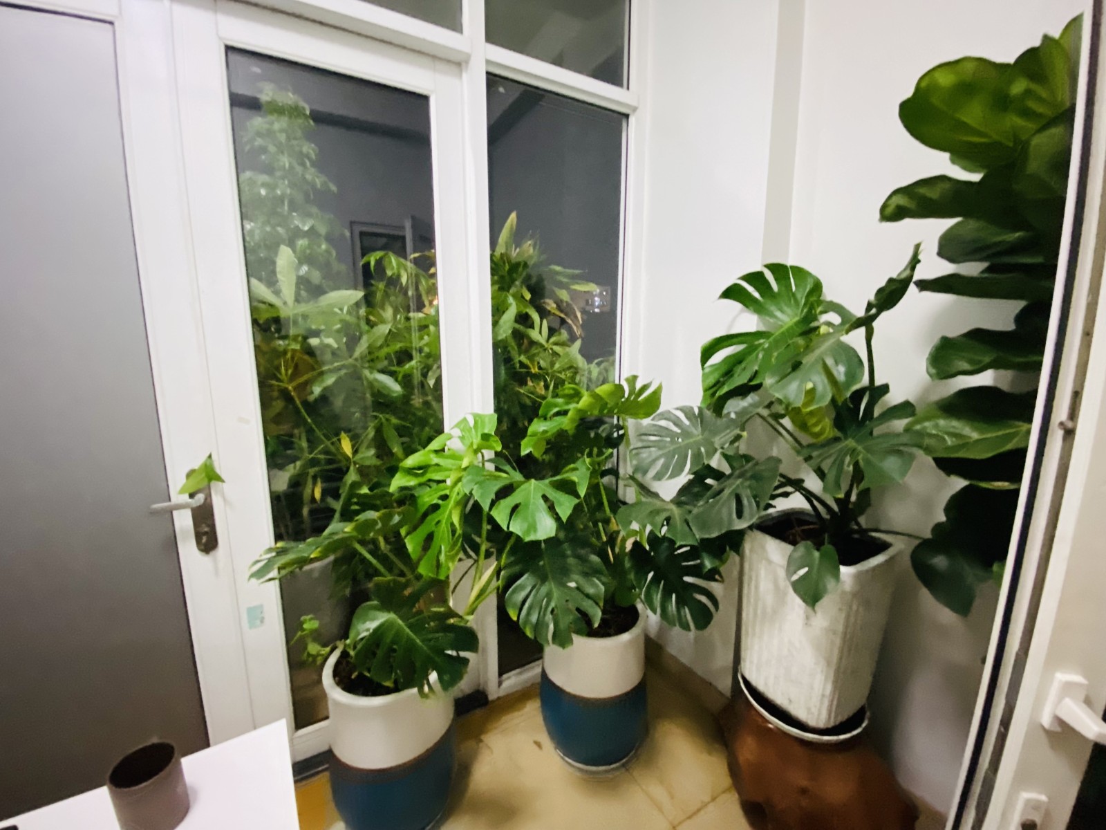 8850a5af6b9d126756e87bd9e672ff6d