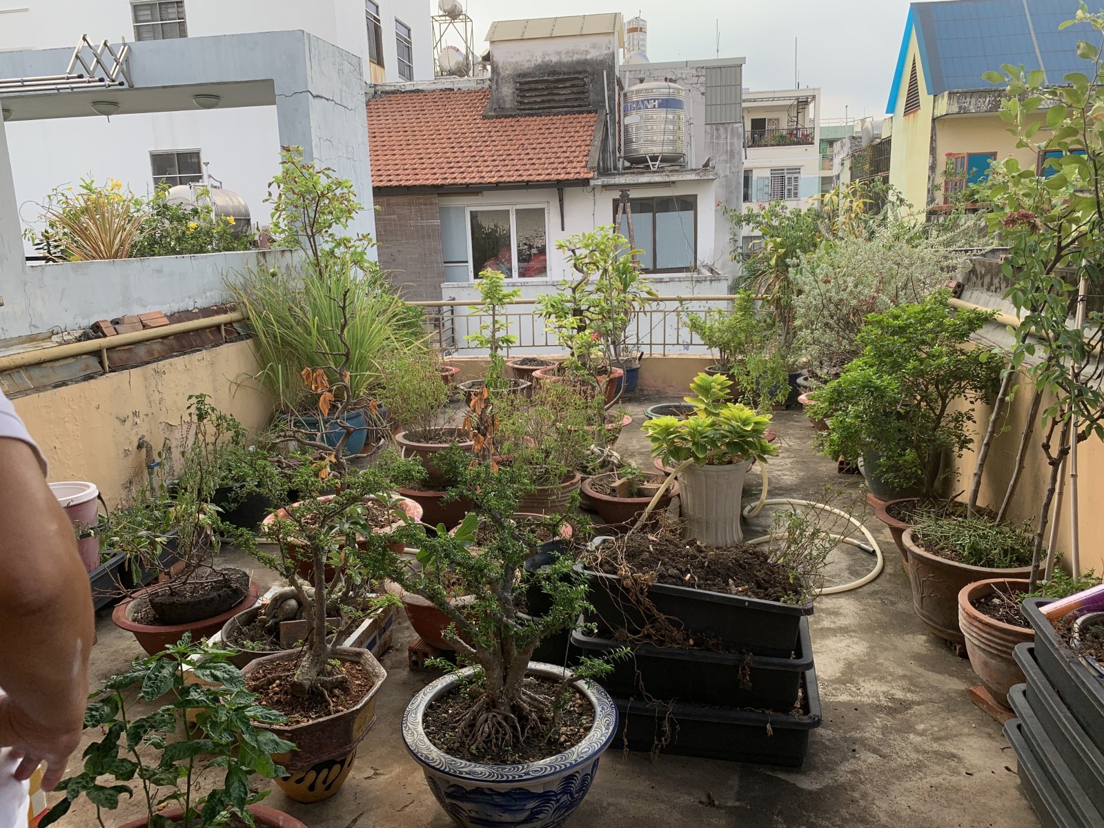 9e727e9bbe1269482d88bc98614be42e