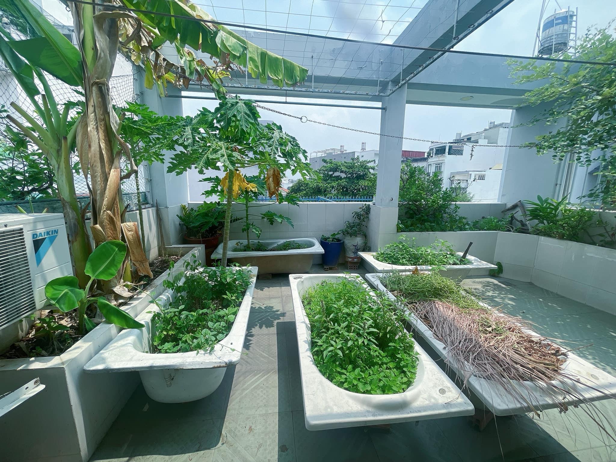 bIET THU bINH tHANH GIA RE 8