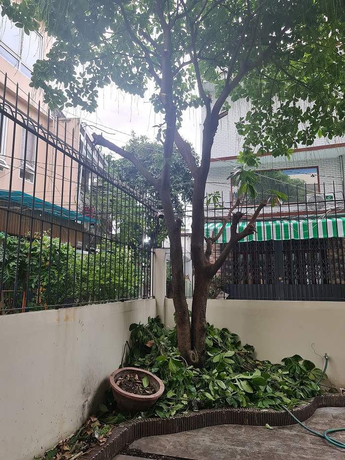 f40c08082d43289424d859171613a25a