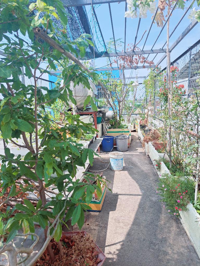 kkm-7965FEFB-luaook1e_21_luaookfs