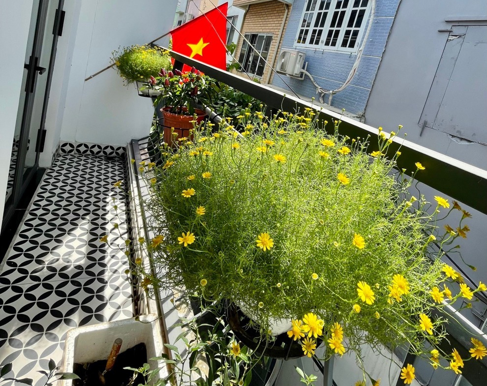 kkn-92EBC89C-lutowms7_15_lutown23