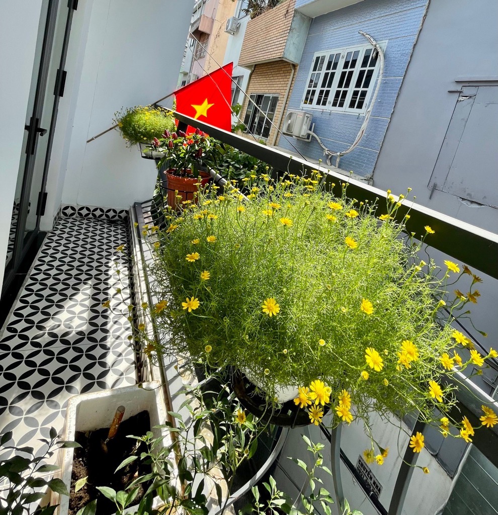 kkn-92EBC89C-lutowms7_15_lutown23