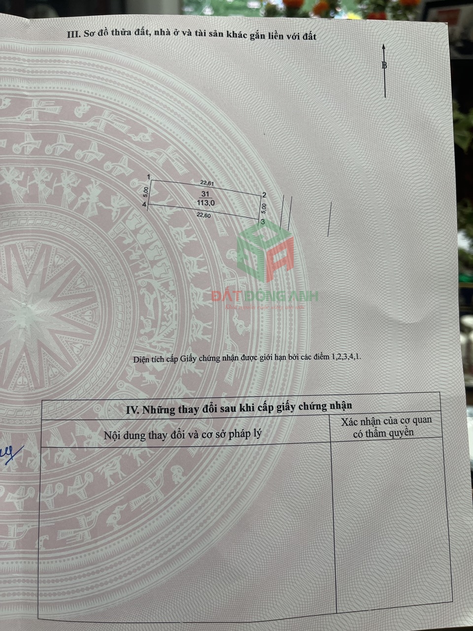 sruuGKSkZo-z5445568485824_4dd550fdd4676edcb1cd29f8b2302e2b