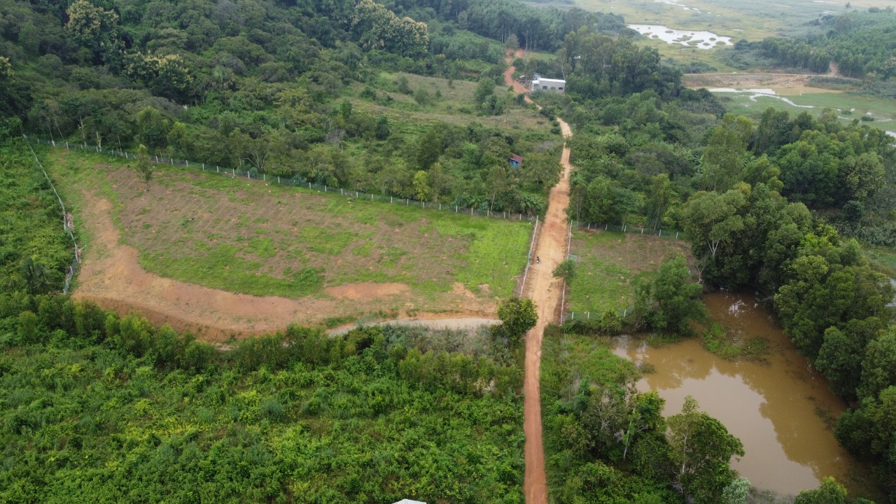 z3711994781217_70d8c89c037e9396da45fb3c41badd72