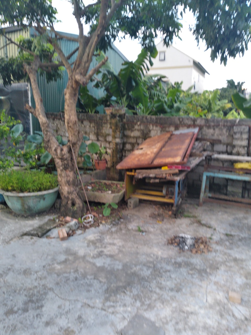 z3713594903206_fbbc4d97446a0fc52f33df4913301813