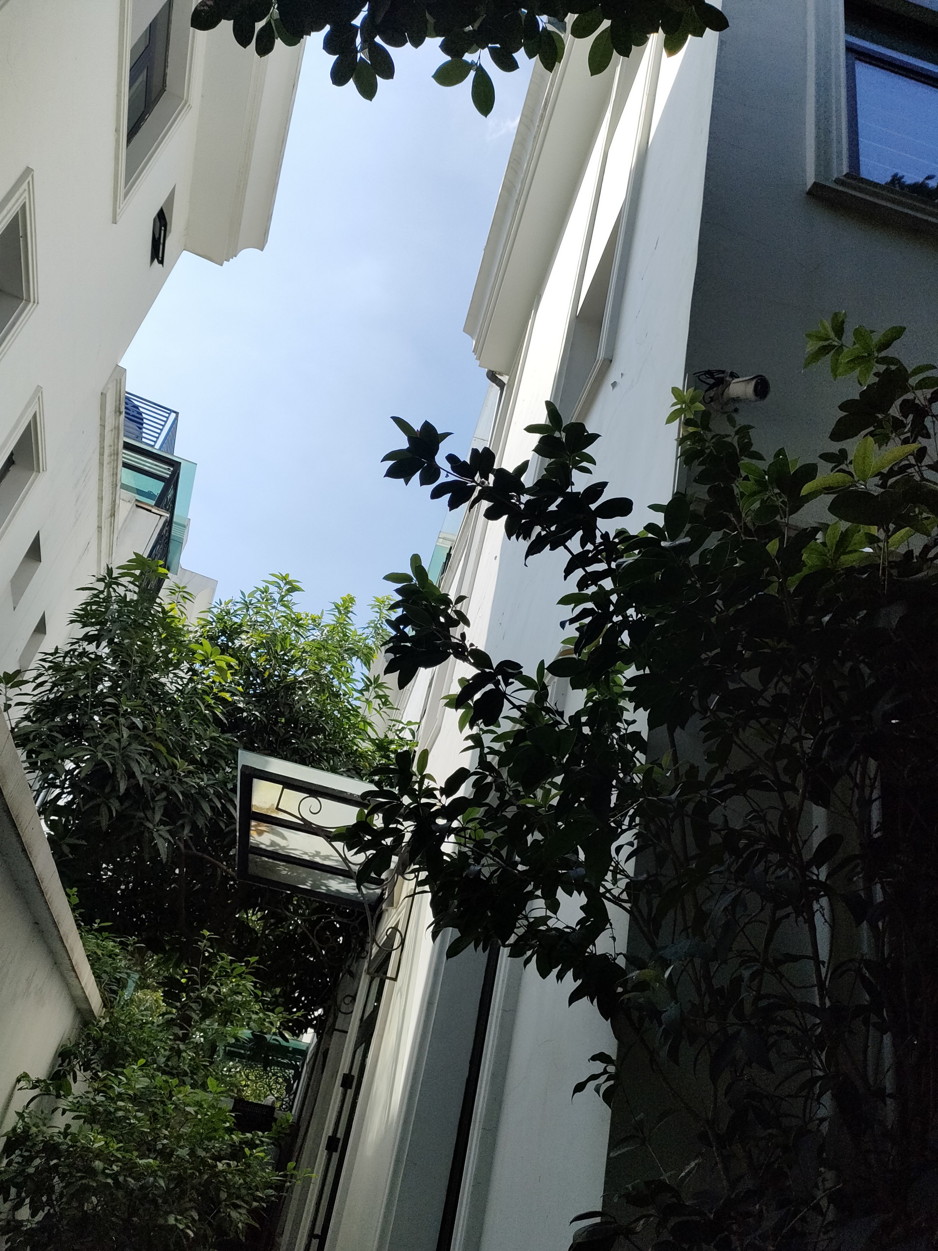 z3844907050713_fe310e33d5f271f4510ae6d853f1ec1a