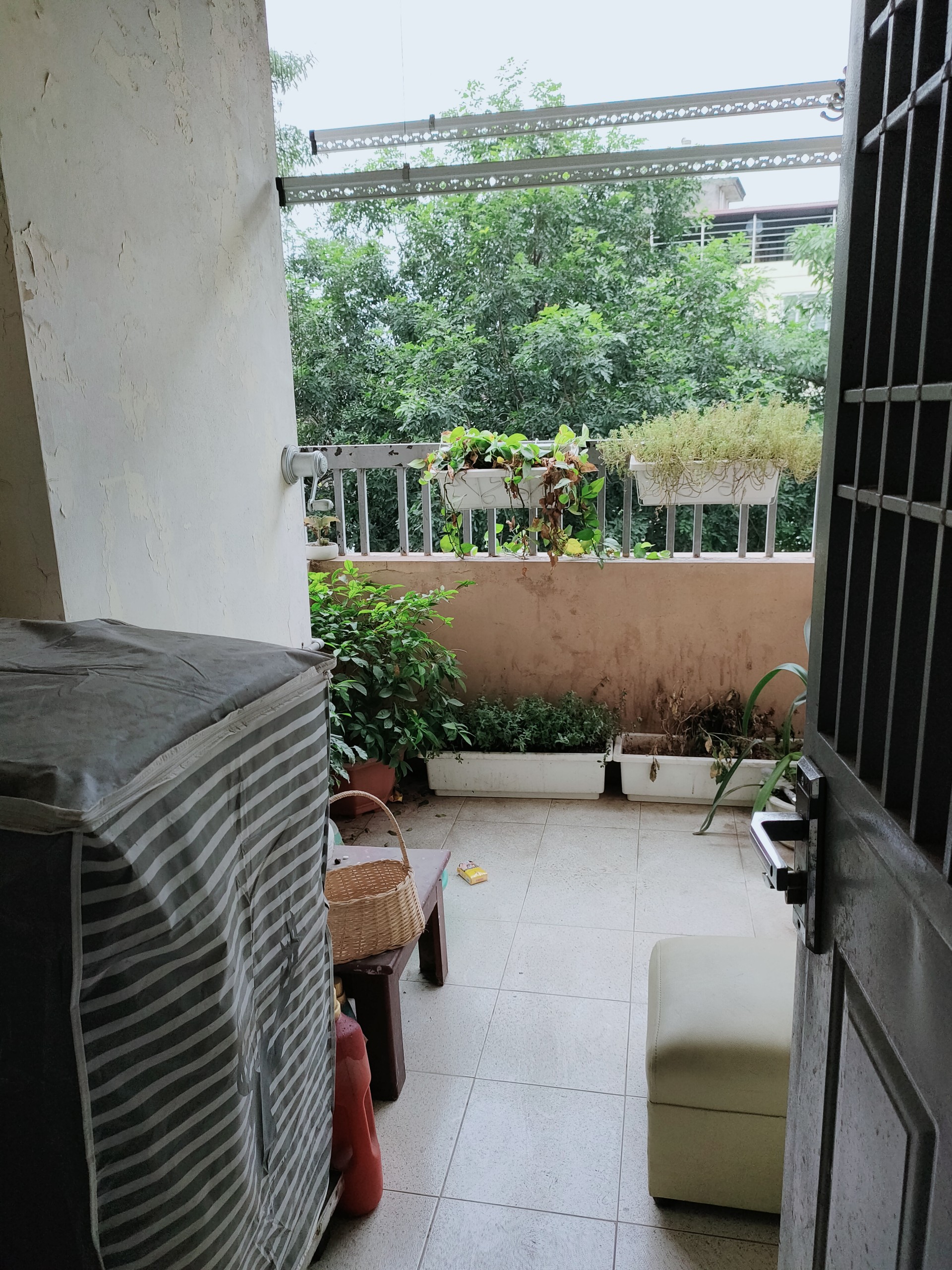 z4040853250010_a9c54cd884f26111fb3369e27193ab5e